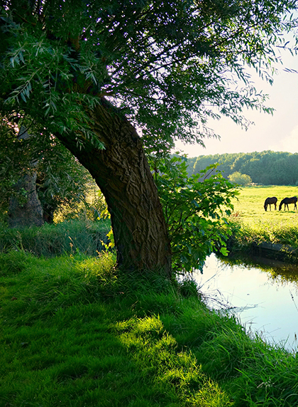 IMG-1257-1
